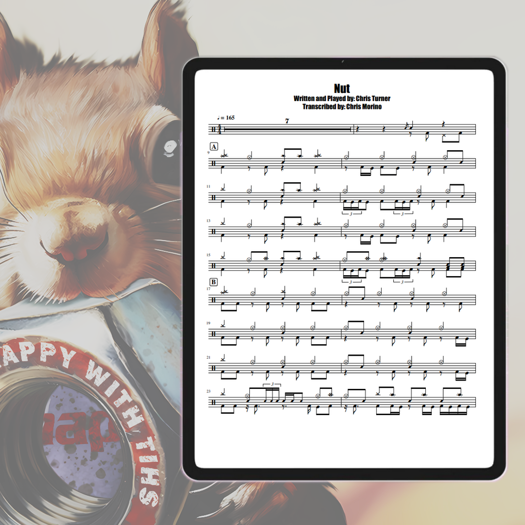 'Nut' - Drum Transcription