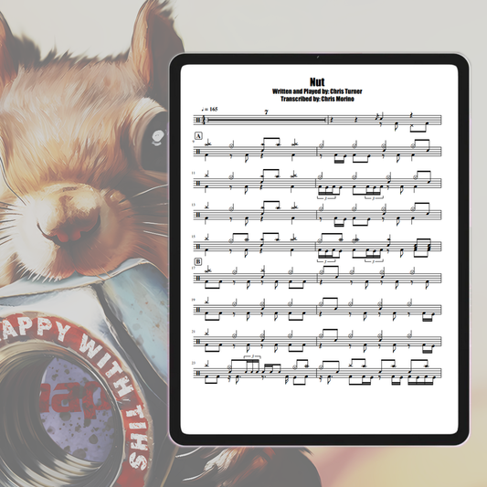 'Nut' - Drum Transcription